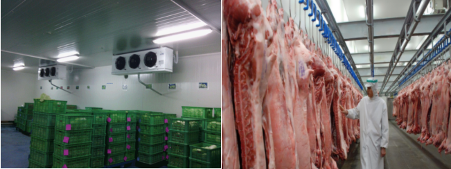 Refrigerated room Refrigerated room